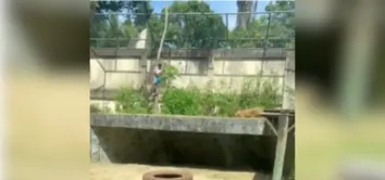 HOMEM MORRE APÓS INVADIR JAULA DE LEOA EM ZOOLÓGICO DE JOÃO PESSOA