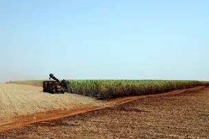 PREÇOS AO PRODUTOR NO BRASIL RECUAM 0,48% EM OUTUBRO, NA 9ª QUEDA SEGUIDA