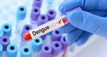 CHEGADA DO VERÃO EXIGE CUIDADOS REDOBRADOS COM O MOSQUITO RESPONSÁVEL PELA DENGUE, ZIKA E CHIKUNGUNYA