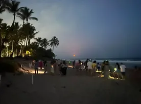 ALERTA EM BUSCA VIDA: DESCUIDO E CURIOSIDADE DURANTE DESOVA DAS TARTARUGAS PODEM CUSTAR MILHARES DE VIDAS