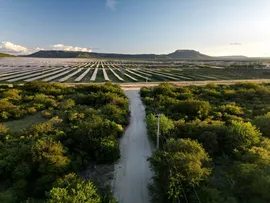 LEVANTAMENTO APONTA BAIXO COMPROMISSO DE EMPRESAS DE ENERGIA EÓLICA E SOLAR COM DIREITOS HUMANOS