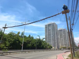 PREFEITURA INAUGURA PASSAGEM DE FAUNA NA AVENIDA PINTO DE AGUIAR PARA REDUZIR ATROPELAMENTOS DE ANIMAIS SILVESTRES