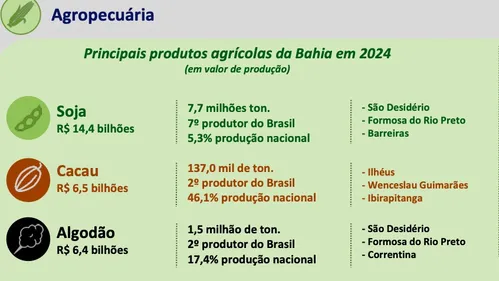 CACAU VOLTA A FIGURAR ENTRE OS TRÊS PRINCIPAIS PRODUTOS DA AGROPECUÁRIA BAIANA. VEJA O RANKING E OS MAIORES PRODUTORES