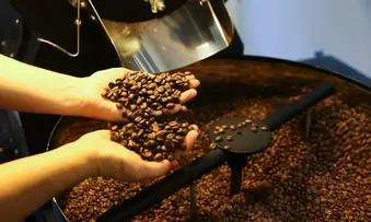 CAFÉS ESPECIAIS DO BRASIL INVADEM O DESERTO E DEVEM MOVIMENTAR US$ 254 MILHÕES