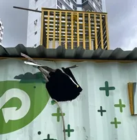 VANDALISMO E FURTOS PREJUDICAM OPERAÇÃO DO RECICLA CAPITAL EM SALVADOR