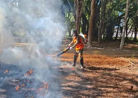 PROGRAMA AMIGOS DA FLORESTA DA BRACELL REDUZ INCÊNDIOS FLORESTAIS