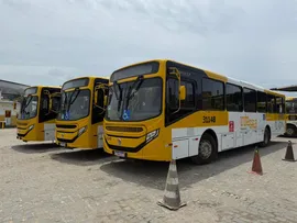 BOSQUE DAS BROMÉLIAS RECEBE NOVOS ÔNIBUS COM AR-CONDICIONADO A PARTIR DESTE DOMINGO (1º)