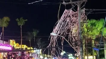 APAGÃO ATINGE CIRCUITO OSMAR EM SALVADOR E É CAUSADO POR SERPENTINA METÁLICA