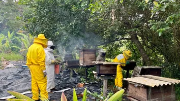 GOVERNO DA BAHIA FORTALECE A APICULTURA NO RECÔNCAVO COM ENTREGA DE 220 KITS
