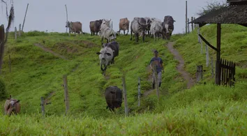 PROGRAMA QUE INVESTIGA RURALIDADES NO BRASIL ESTREIA NA BAHIA COM EXIBIÇÃO NACIONAL CONFIRMADA