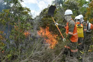 BRACELL DESTACA EDUCAÇÃO COMO ESTRATÉGIA PARA PREVENIR INCÊNDIOS FLORESTAIS