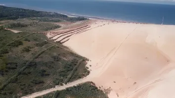 TRONOX APRESENTA CASE DE REFLORESTAMENTO E RESTABELECIMENTO AMBIENTAL EM EVENTO QUE MARCA OS 37 ANOS DO IBAMA