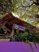 “NOITE DE VERÃO LILÁS” TEM HOMENAGEM A DJAVAN NA PITUBA