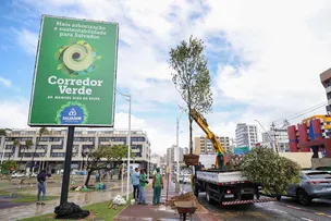 SALVADOR PASSA A INTEGRAR REDE GLOBAL DE CIDADES RECONHECIDAS POR GESTÃO DE ARBORIZAÇÃO URBANA E CUIDADO COM ÁREAS VERDES