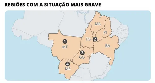 CERCA DE 35% DA PRODUÇÃO DE GRÃOS DA BAHIA NÃO TEM ARMAZENAGEM, PREJUDICANDO O PRODUTOR. VEJA OS LOCAIS