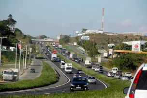 MAIS DE 10 MIL ANIMAIS SÃO APREENDIDOS EM RODOVIAS NO ESTADO DA BAHIA