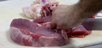 BRASIL E UNIÃO EUROPEIA ABREM NEGOCIAÇÕES APÓS BLOQUEIO À EXPORTAÇÃO DE CARNES E ANIMAIS VIVOS