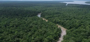 CÂMARA APROVA FLEXIBILIZAÇÃO AMBIENTAL EM ÁREA DA AMAZÔNIA NO PARÁ