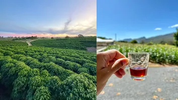 ROTEIRO TURÍSTICO UNE CAFÉ ESPECIAL, NATUREZA E EXPERIÊNCIAS EXCLUSIVAS NO INTERIOR DA BAHIA