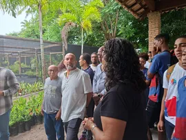 ILHA DE ITAPARICA GANHA PRIMEIRO VIVEIRO DE MANGUE COM PRODUÇÃO INICIAL DE 28 MIL MUDAS NATIVAS