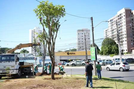 PREFEITURA INICIA NOVA ETAPA DO CORREDOR VERDE COM O PLANTIO DE 112 ÁRVORES NO CABULA