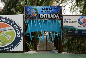 SALVADOR GANHA PARQUE MARINHO 'AQUA SALVADOR' NO PARQUE DAS DUNAS
