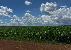 GCB LANÇA CRA PARA IMPULSIONAR IRRIGAÇÃO E PRODUTIVIDADE NA FAZENDA CANAÃ
