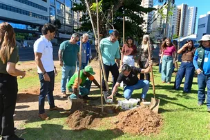 PREFEITURA DE SALVADOR INICIA PLANTIO DE MAIS DE 1 MIL MUDAS DE ÁRVORES NA AVENIDA ACM