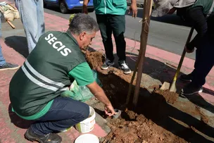 PREFEITURA OFERECE PROGRAMA PLANTE NO PASSEIO PARA AMPLIAR ARBORIZAÇÃO DE SALVADOR