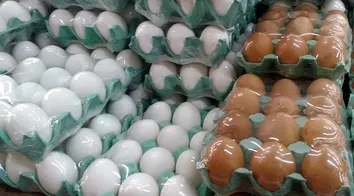 CONSUMO DE OVOS DISPARA NO BRASIL E VIRA BASE DE DIETAS