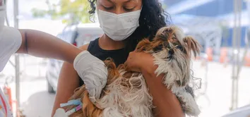 SALVADOR INICIA CAMPANHA DE VACINAÇÃO ANTIRRÁBICA PARA CÃES E GATOS NESTA SEGUNDA