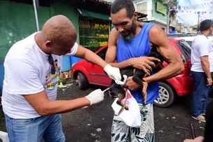 SALVADOR INICIA CAMPANHA DE VACINAÇÃO CONTRA RAIVA EM CÃES E GATOS A PARTIR DESTA SEGUNDA-FEIRA (20)