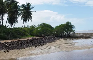 AÇÃO DE EDUCAÇÃO AMBIENTAL CELEBRA O DIA DO MANGUEZAL EM ITAPARICA