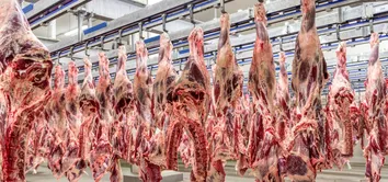 EXPORTAÇÕES DE CARNE BRASILEIRA PARA A UNIÃO EUROPEIA SÓ DEVEM SER RETOMADAS EM 2028