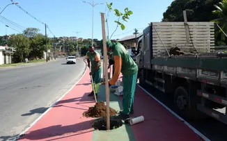 SUBURBANA GANHA NOVAS MUDAS APÓS ATOS DE VANDALISMO