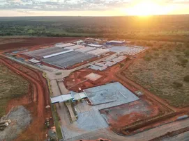 BIOFÁBRICA DO ACELEN AGRIPARK JÁ ESCARIFICOU 1,7 MILHÃO DE SEMENTES DE MACAÚBA POR MÊS EM MINAS