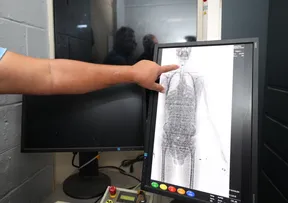 BODY SCAN REFORÇA FISCALIZAÇÃO E AMPLIA SEGURANÇA NAS UNIDADES PRISIONAIS DA BAHIA
