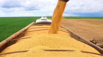 PIB DO AGRONEGÓCIO CAI 2% NO PRIMEIRO TRIMESTRE DE 2026, SEGUNDO CEPEA