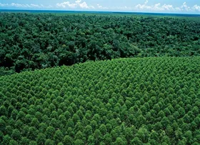 SUZANO INVESTE EM INOVAÇÃO TECNOLÓGICA PARA PREVENIR E COMBATER INCÊNDIOS FLORESTAIS