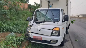 CAMINHÃO COLIDE COM CAVALO E FICA DESTRUÍDO EM FEIRA DE SANTANA