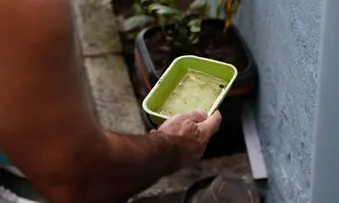 CINCO REGIÕES DE SALVADOR REGISTRAM MAIOR CONCENTRAÇÃO DE FOCOS DO MOSQUITO DA DENGUE.