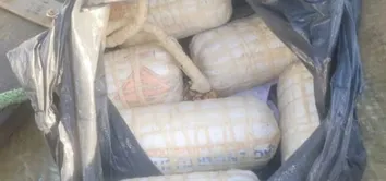 OPERAÇÃO APREENDE SEIS EXPLOSIVOS QUE SERIAM USADOS EM PESCA ILEGAL NA BAÍA DE TODOS-OS-SANTOS