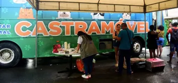 SALVADOR RETOMA CASTRAÇÃO GRATUITA DE CÃES E GATOS NESTA TERÇA-FEIRA (8)
