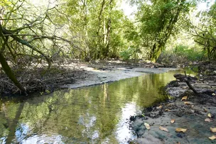 SALVADOR TERÁ NOVO PARQUE EM PATAMARES