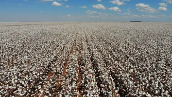 EVENTO REÚNE SETOR PRODUTIVO E ESPECIALISTAS PARA DISCUTIR INOVAÇÃO NO AGRO BAIANO