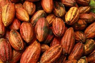 ESTUDO DA SUDENE COLOCA PRODUÇÃO AGRÍCOLA DO NORDESTE EM DESTAQUE