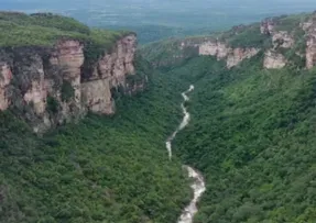 BAHIA CRIA REFÚGIO AMBIENTAL NA SERRA DA CHAPADINHA