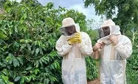 UNIVERSIDADE SE DESTACA COM PROJETO DE ALUGUEL DE ABELHAS