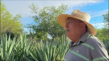 CORONEL APRESENTA PROJETO PARA DIRECIONAR 10% DA PESQUISA DO PETRÓLEO AO DESENVOLVIMENTO DO SEMIÁRIDO