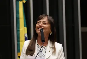 ALICE PORTUGAL PROMOVE PLENÁRIA DE BALANÇO DO 6º MANDATO